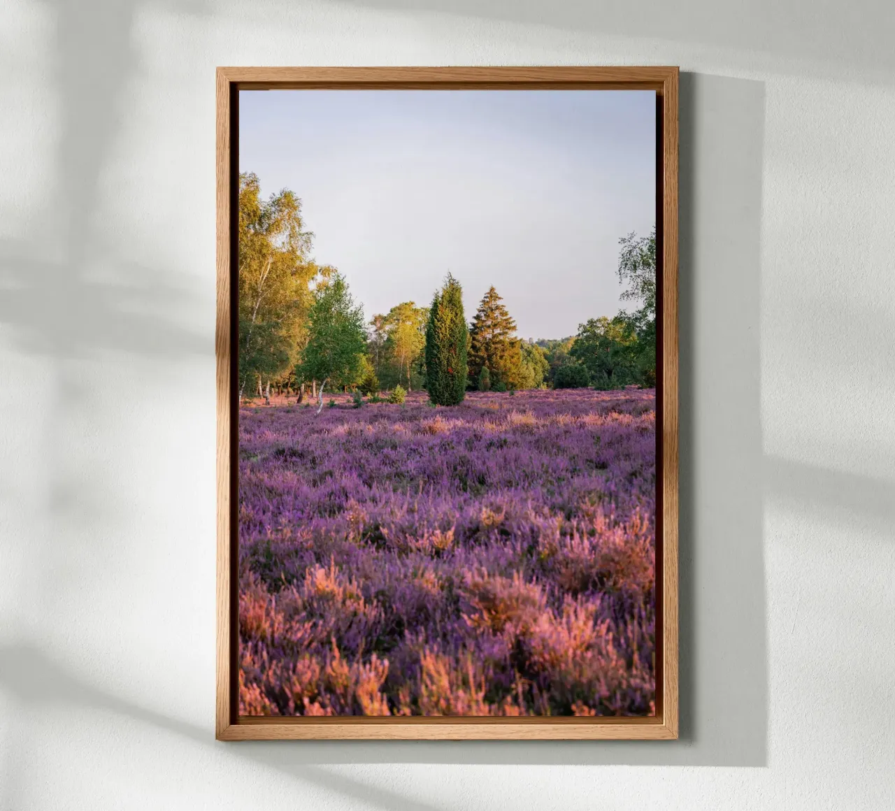 tree on pink grass pannello forex da Fost