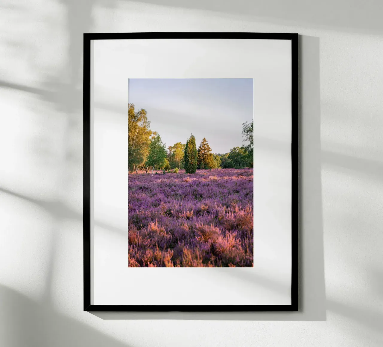 tree on pink grass carta hahnemühle da Fost