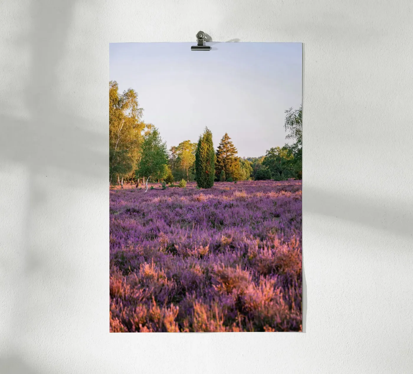 tree on pink grass poster da Fost