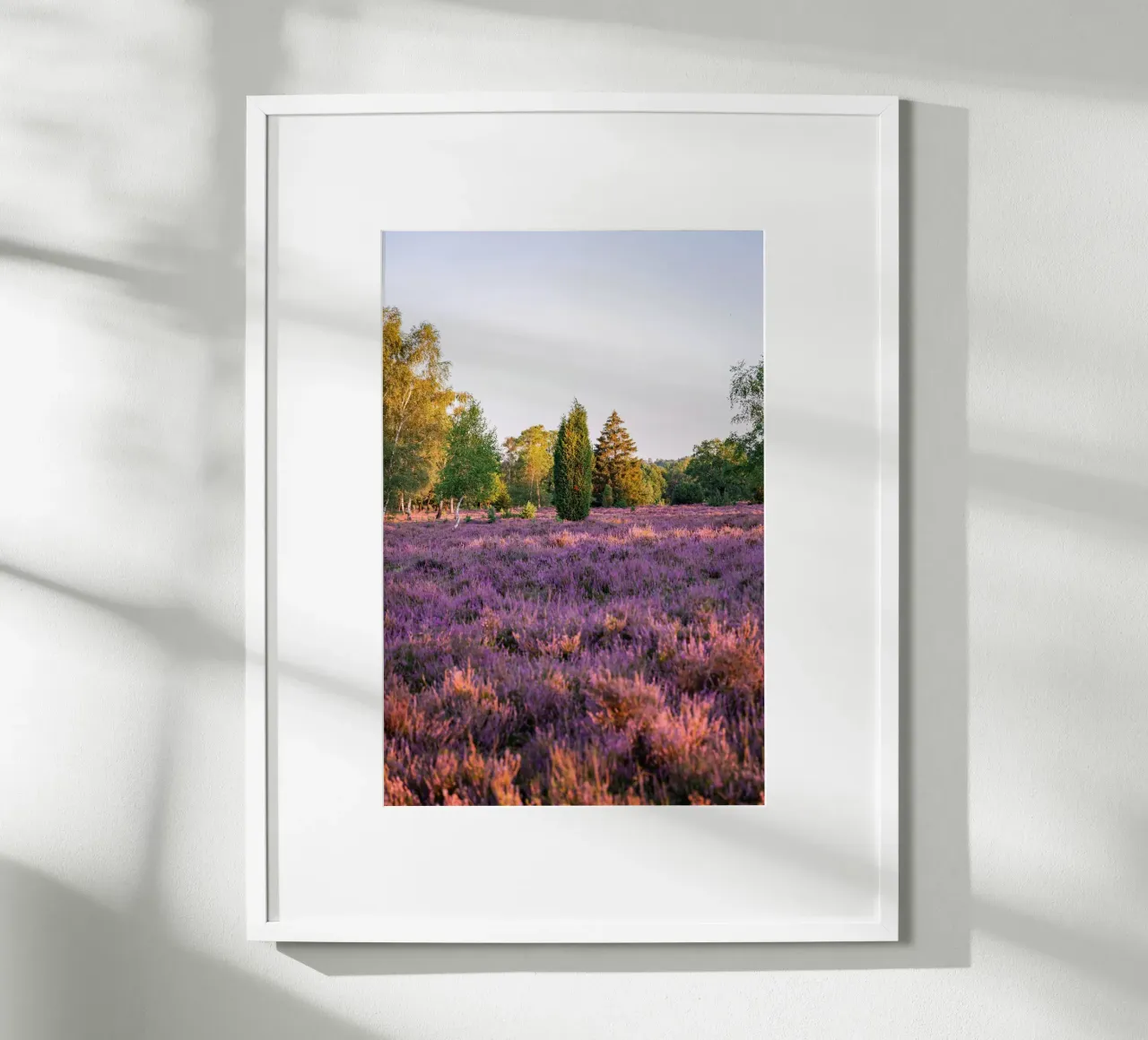 tree on pink grass carta hahnemühle da Fost