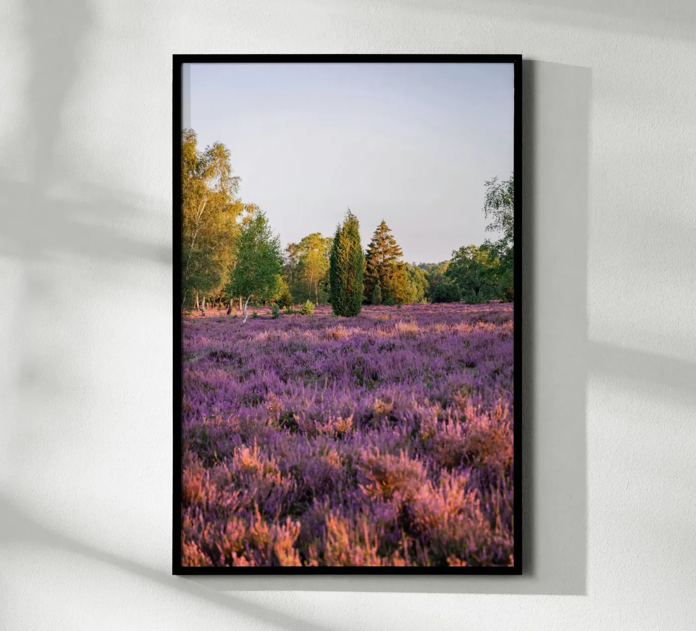 tree on pink grass poster da Fost