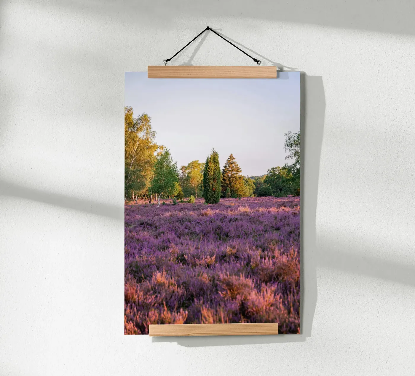 tree on pink grass poster da Fost