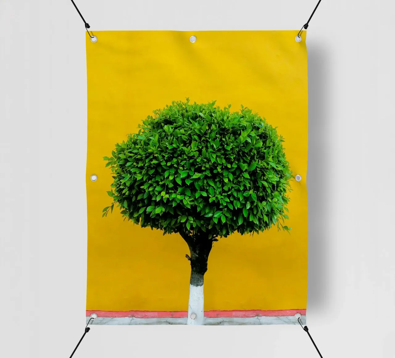 single tree in yellow shade telo in pvc da Monel