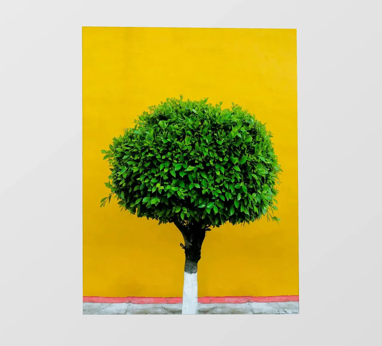 single tree in yellow shade telo in pvc da Monel