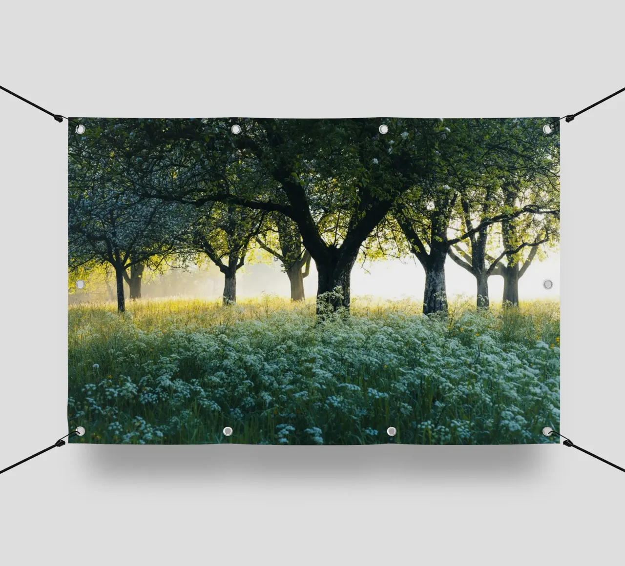 forest in white grass telo in pvc da Fost