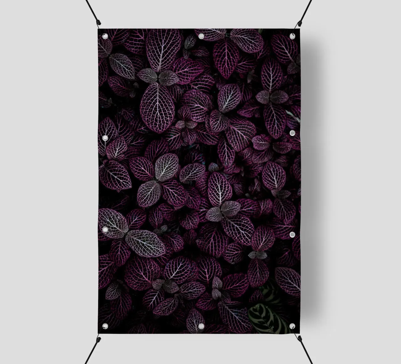 purple leaf in shadow telo in pvc da Monel