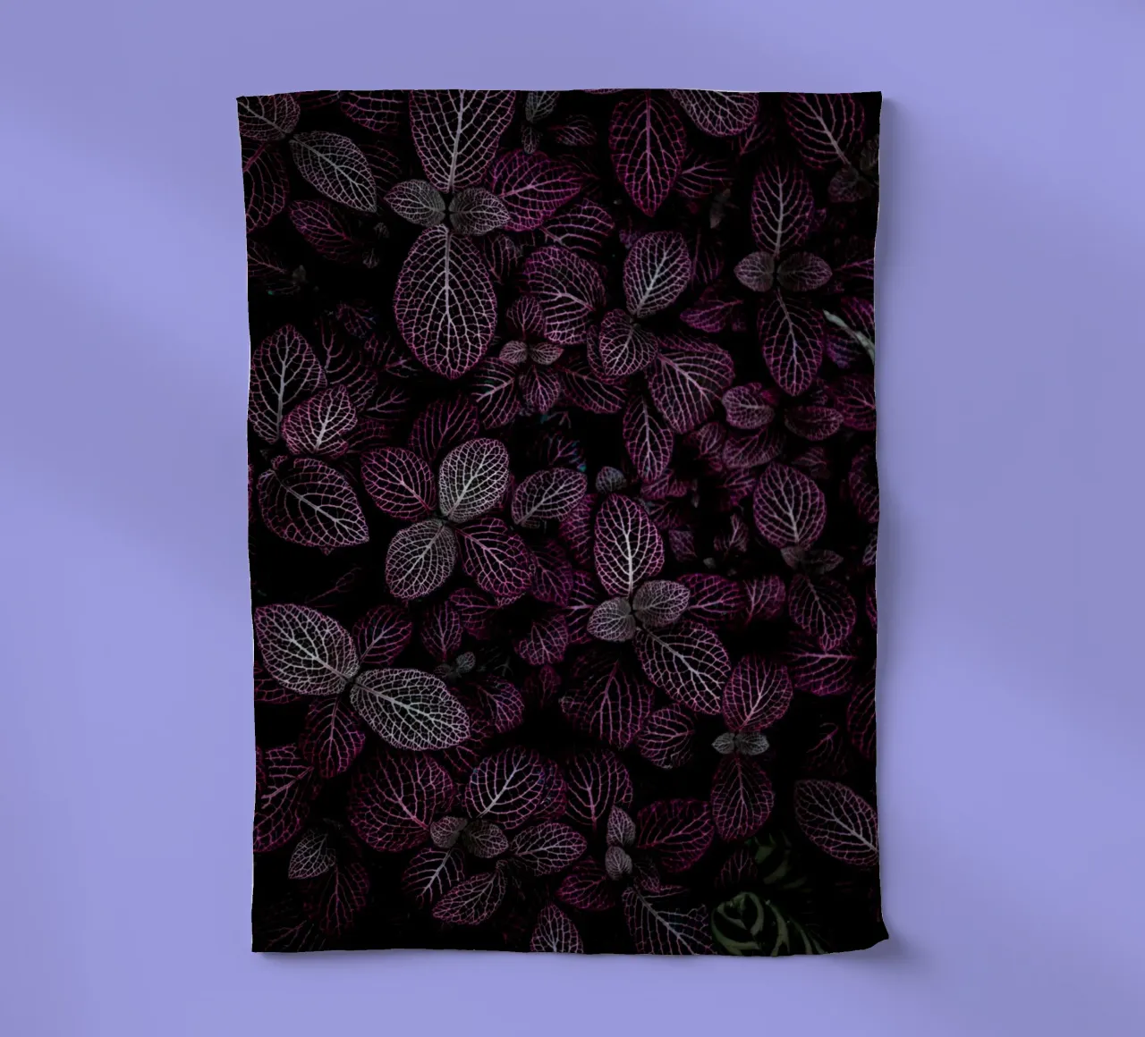 purple leaf in shadow canovaccio da cucina da Monel