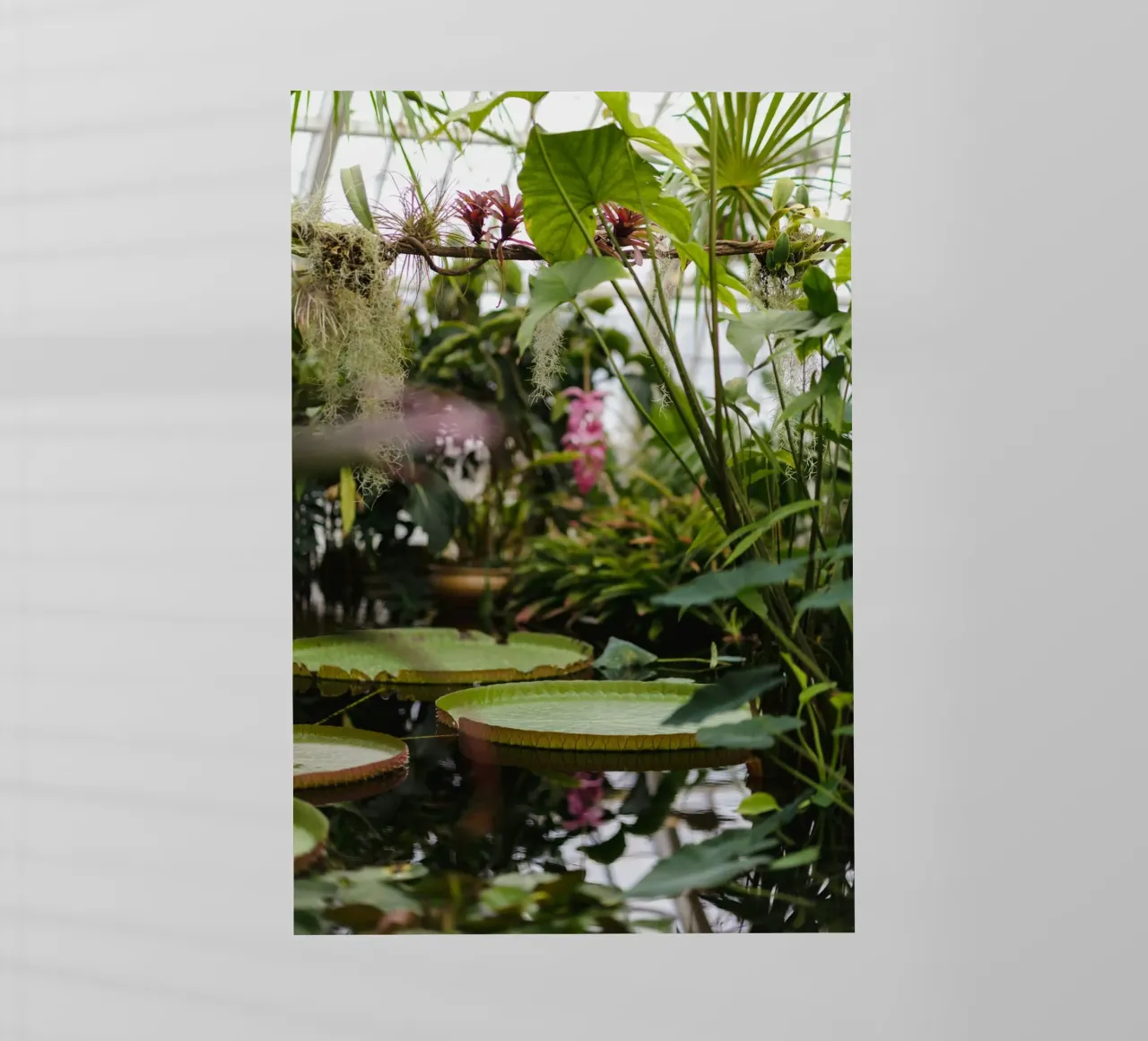 tree in water pellicola backlit da Fost