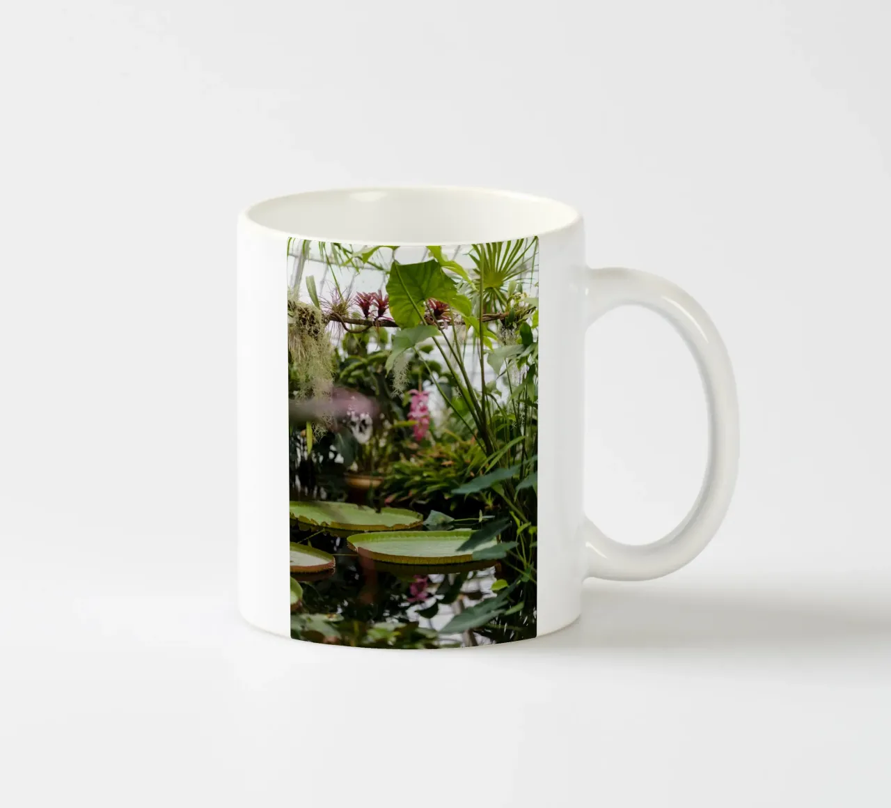 tree in water tazza in ceramica da Fost