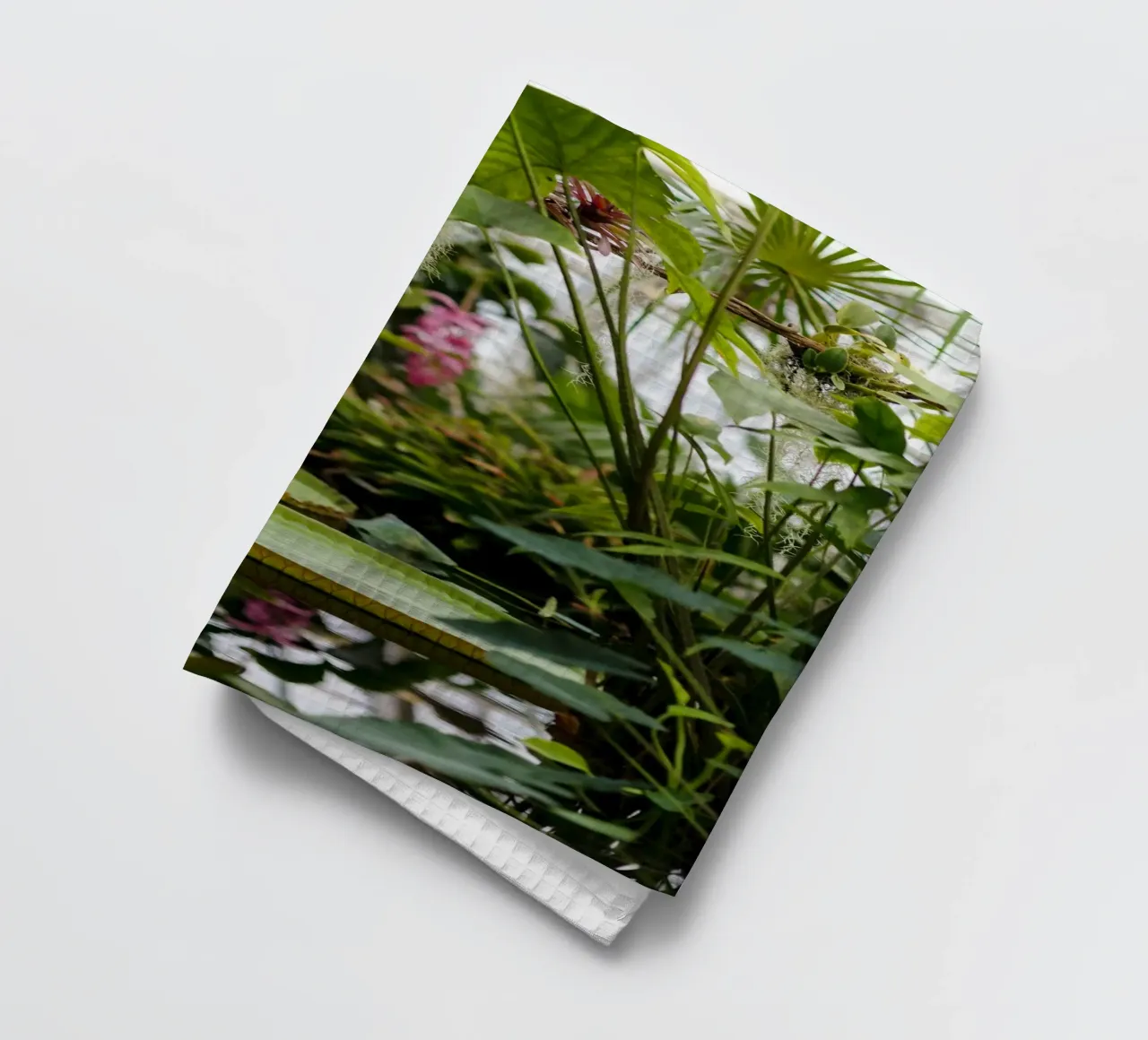 tree in water canovaccio da cucina da Fost