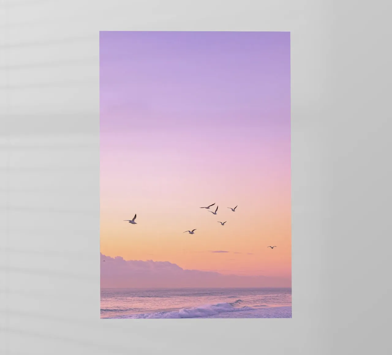 bird on the gradient sky pellicola backlit da rooka