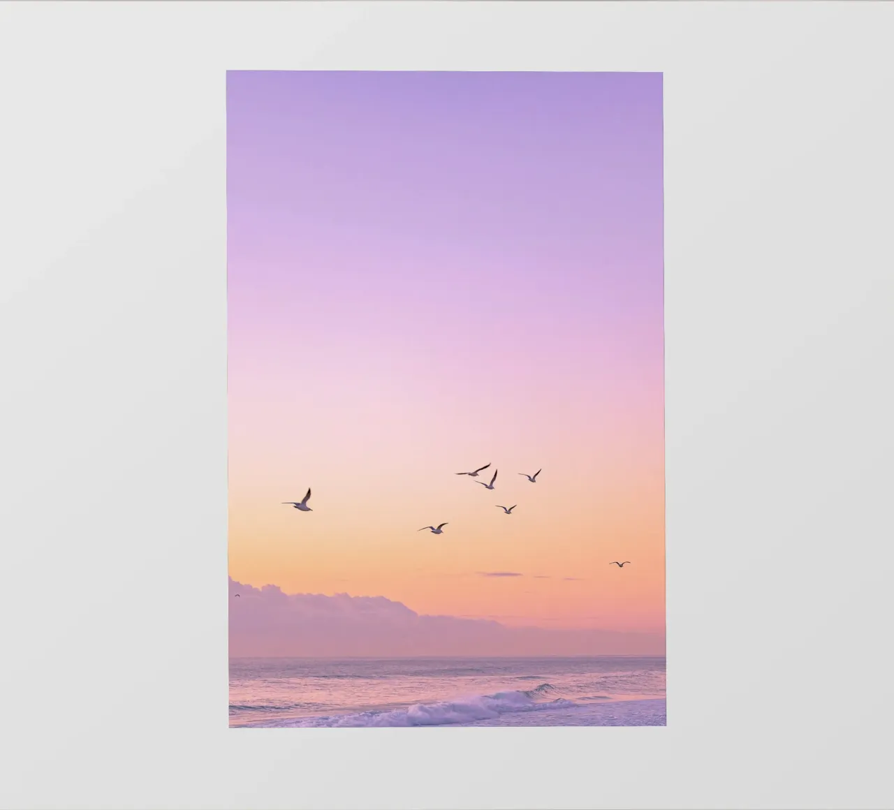 bird on the gradient sky pellicola backlit da rooka