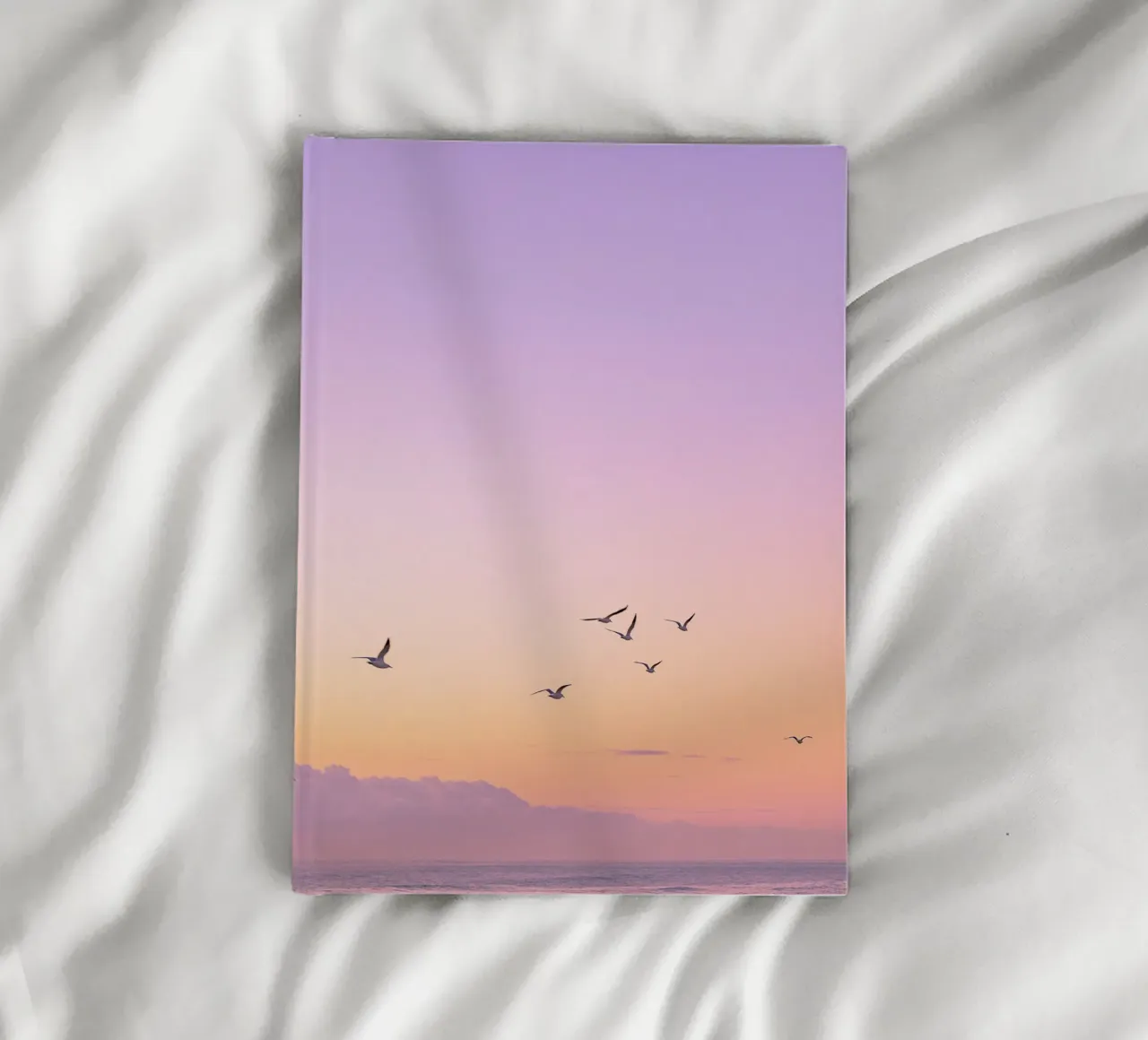 bird on the gradient sky diario da rooka