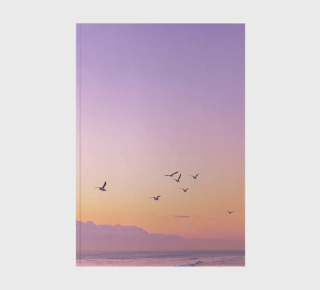 bird on the gradient sky diario da rooka