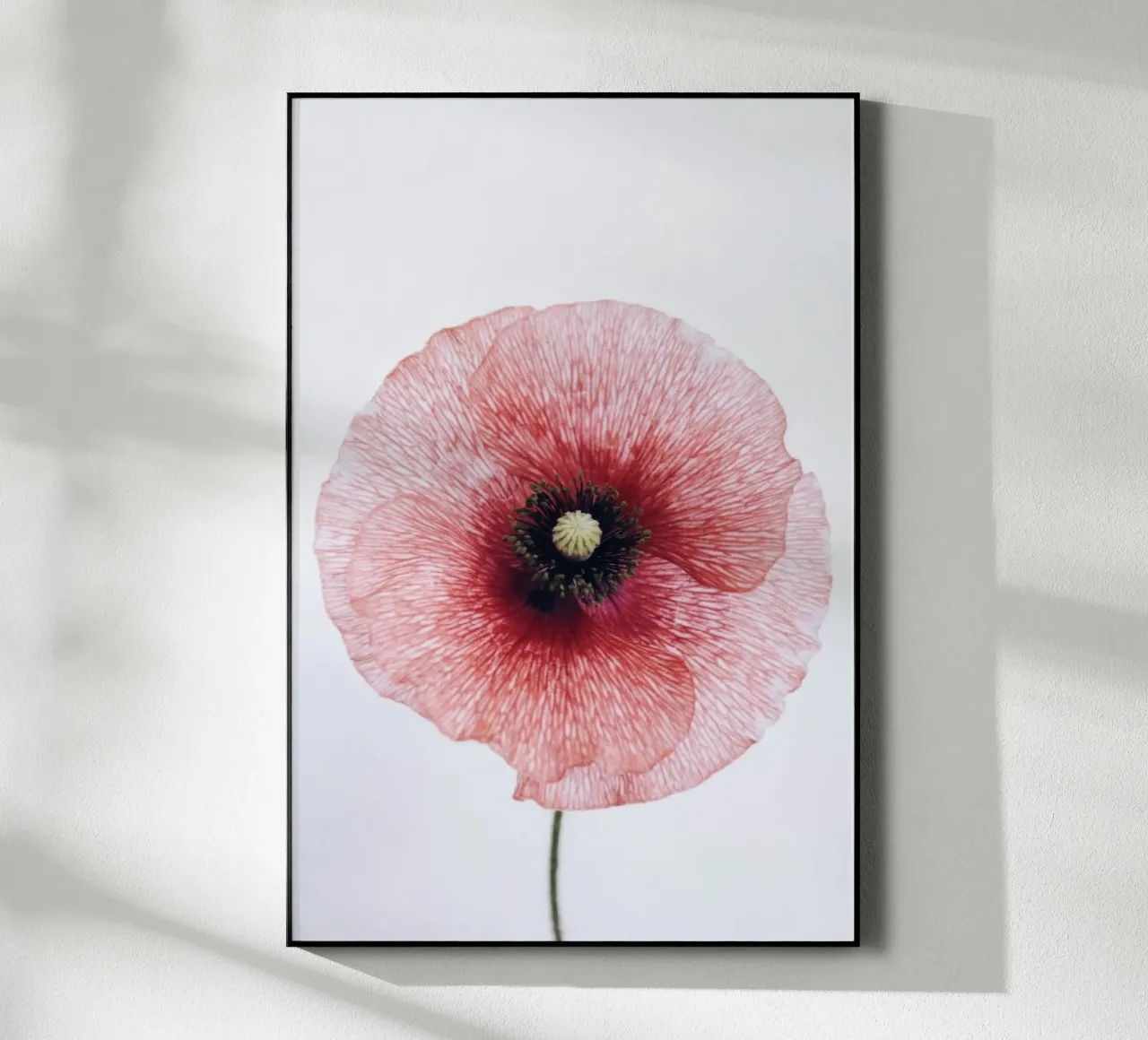 circle flower in red plexiglass da rooka