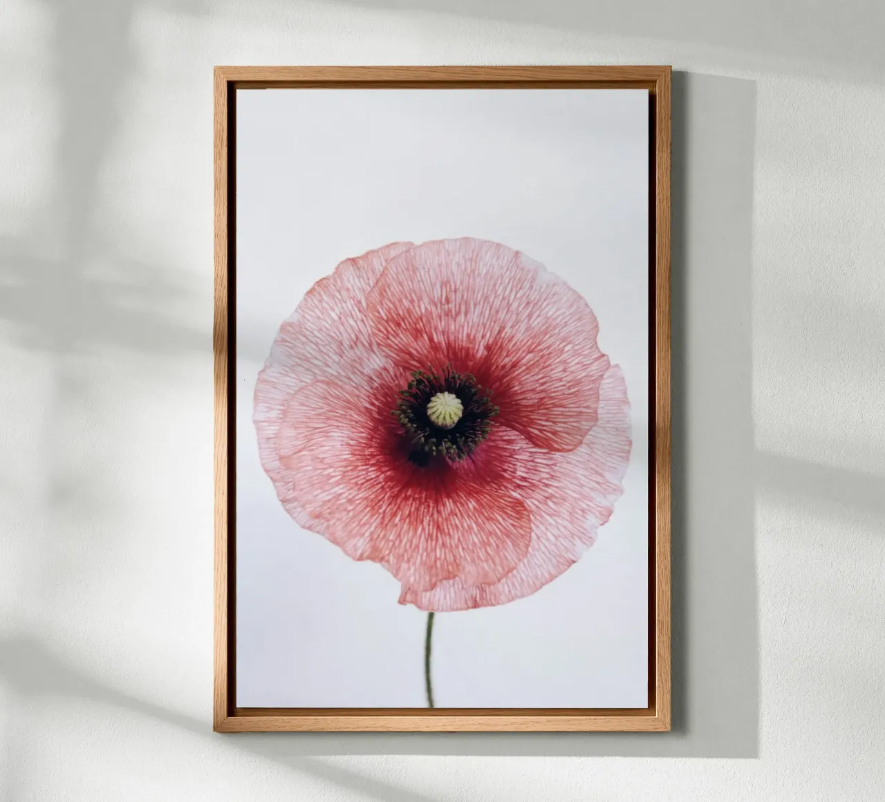 circle flower in red alluminio dibond da rooka
