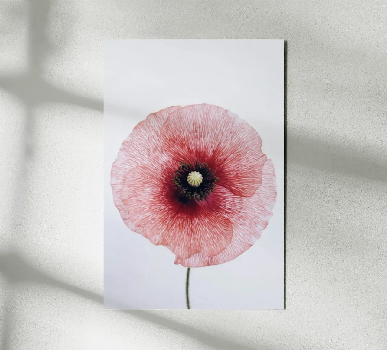 circle flower in red alluminio dibond da rooka