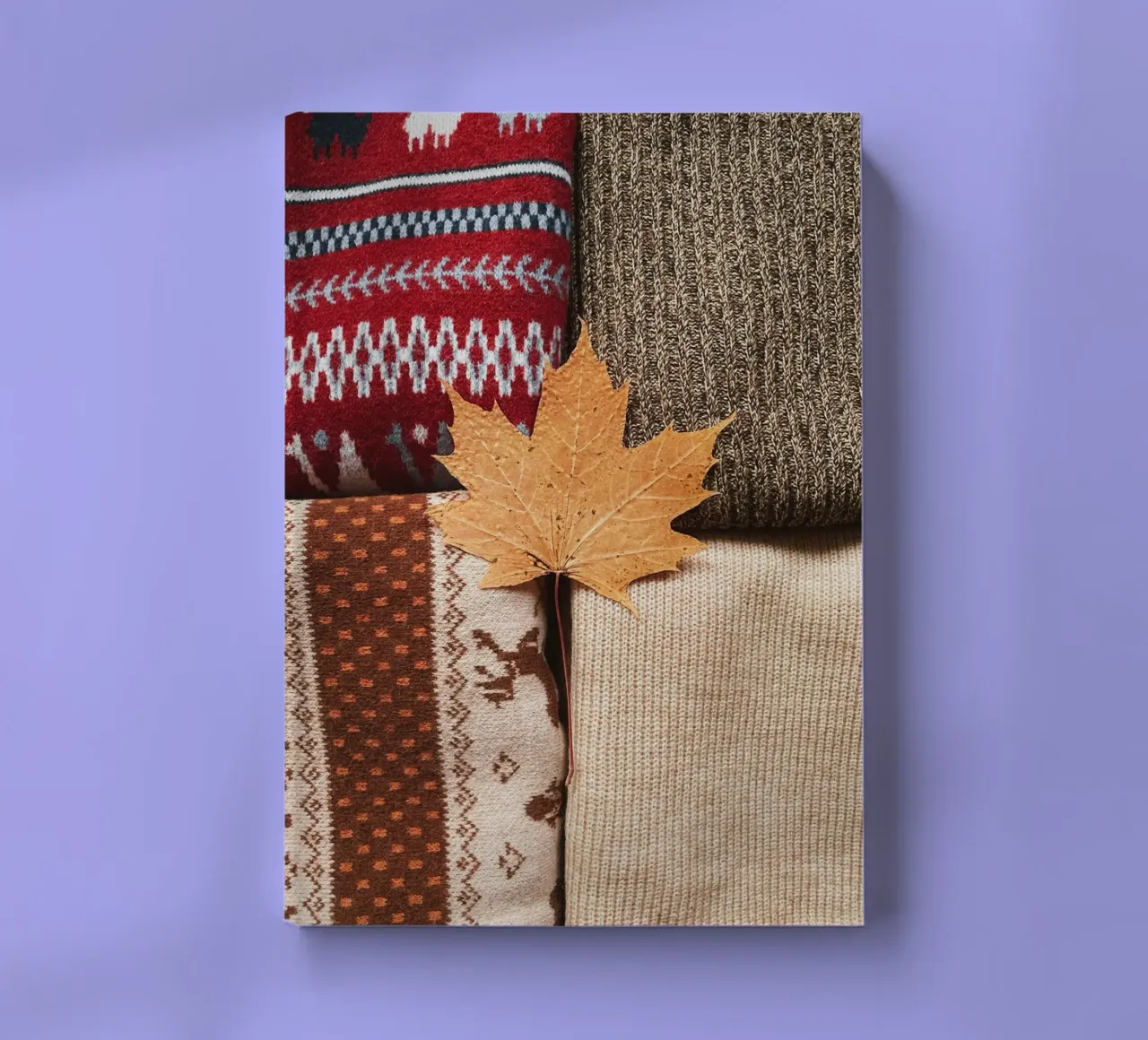 leaf on the color notebook by rooka