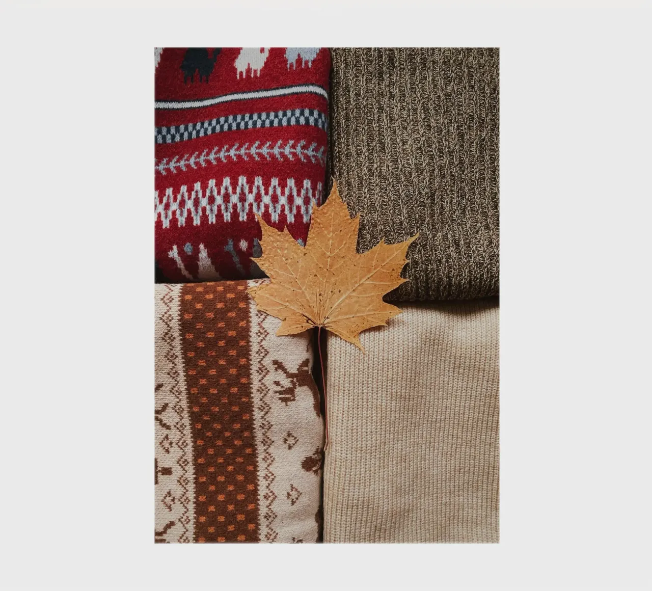 leaf on the color notebook by rooka