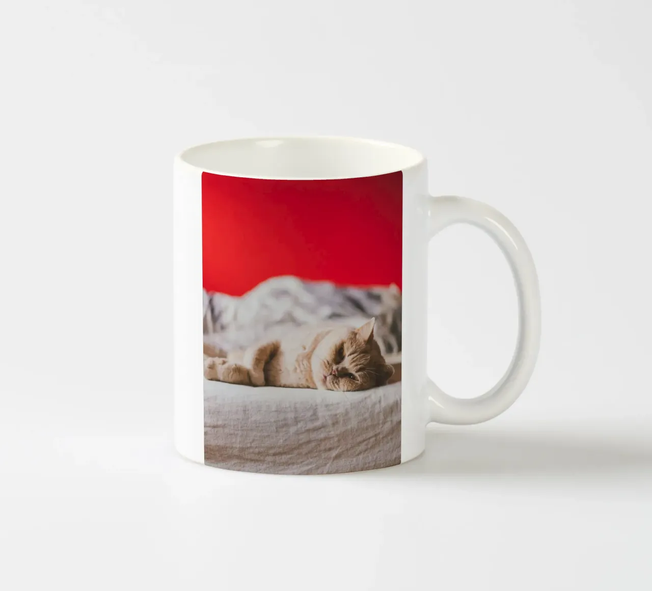 cat on bed tazza in ceramica da feny