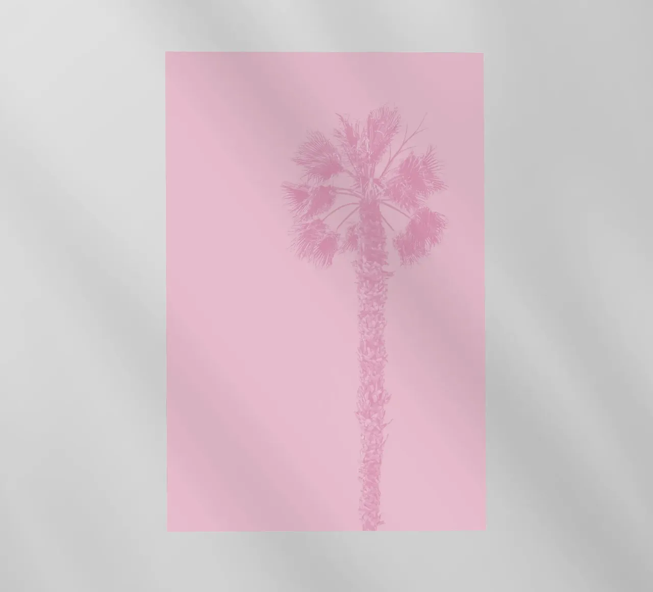 palm in pink tone pellicola backlit da feny