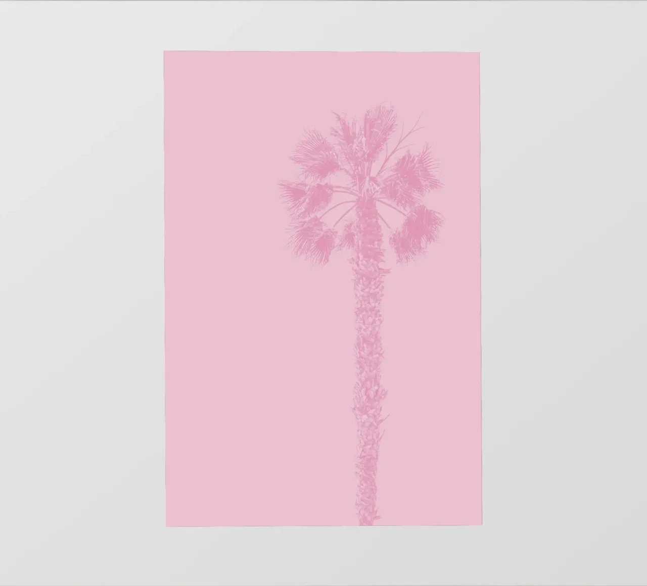 palm in pink tone pellicola backlit da feny