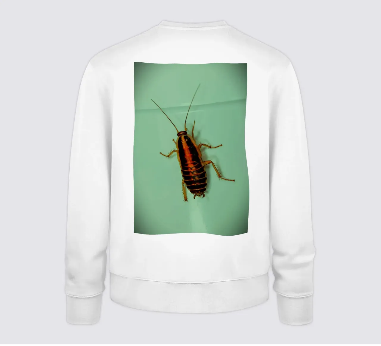 Piccolo ma testardo felpa da Nature's Palette