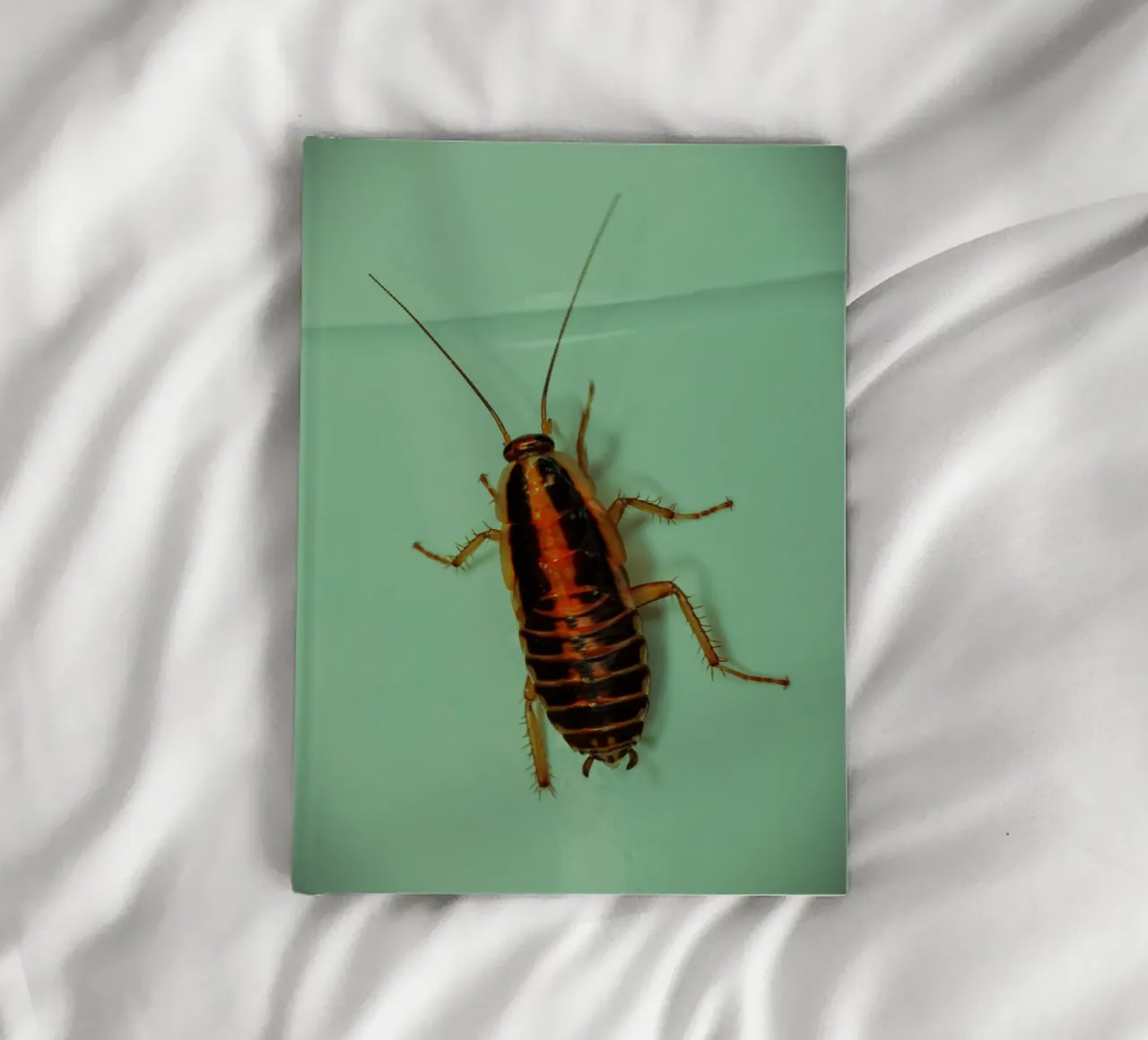 Small but stubborn notebook by Nature's Palette