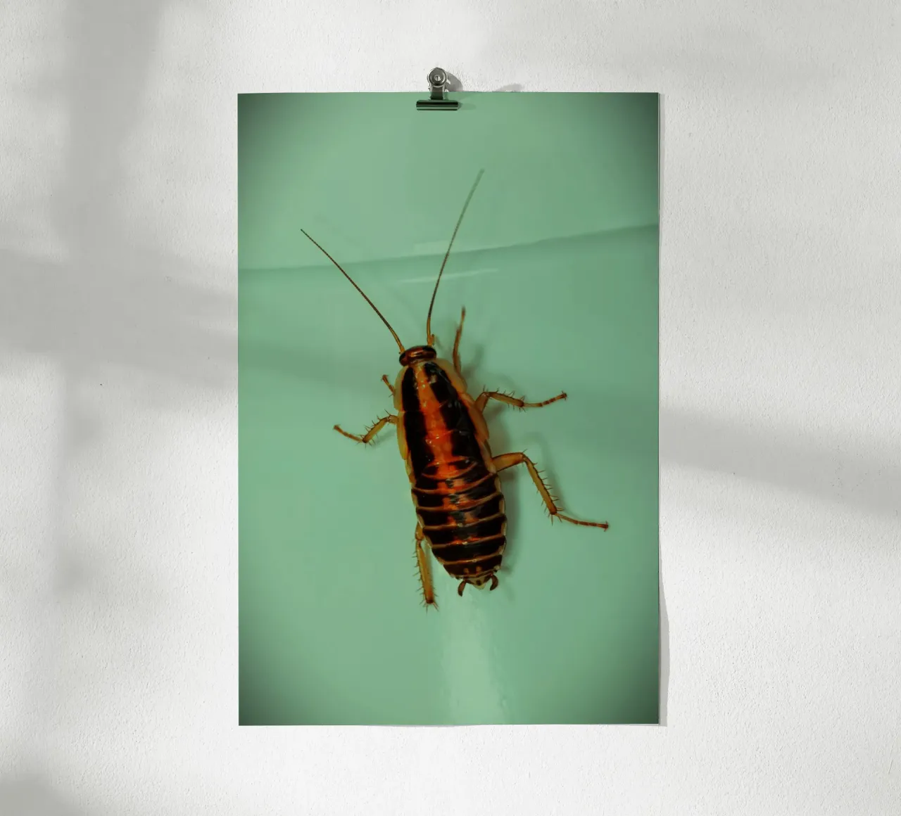 Piccolo ma testardo carta hahnemühle da Nature's Palette