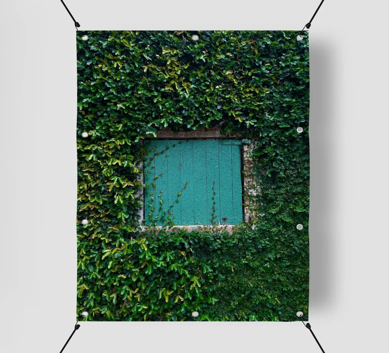 window in wall of leaf telo in pvc da feny