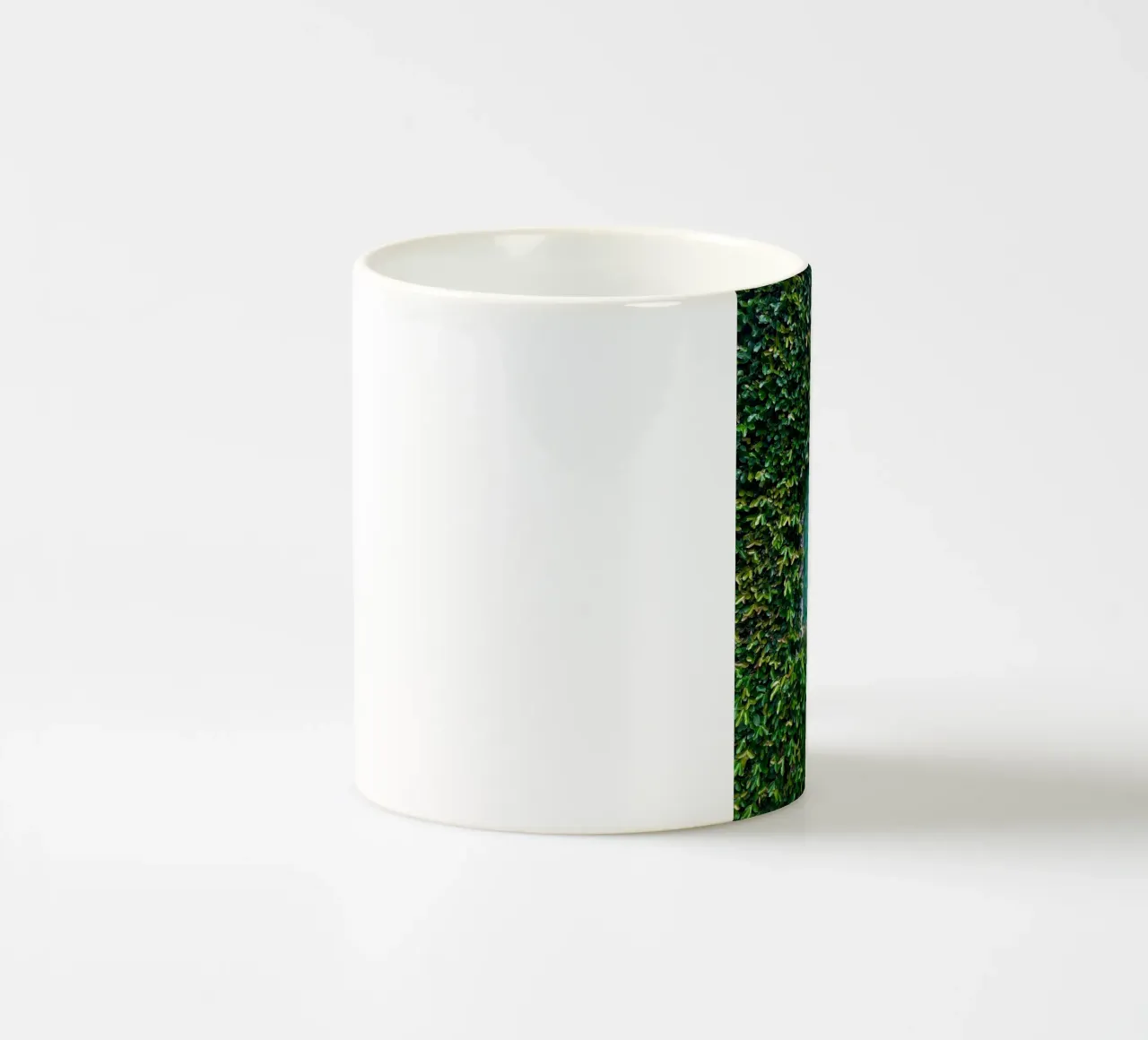 window in wall of leaf tazza in ceramica da feny
