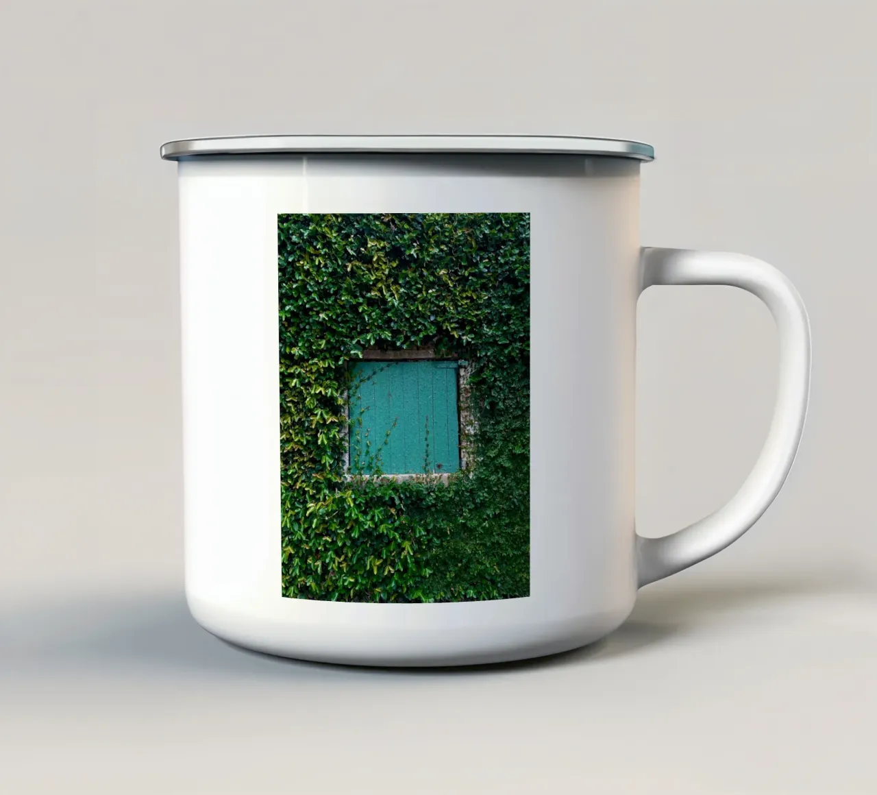 window in wall of leaf tazza in smalto da feny