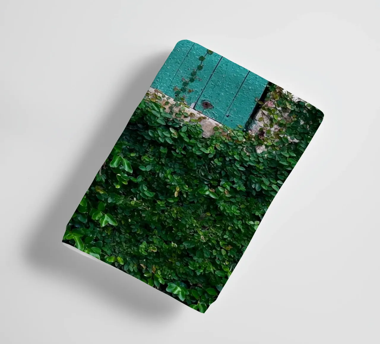 window in wall of leaf asciugamano da bagno da feny