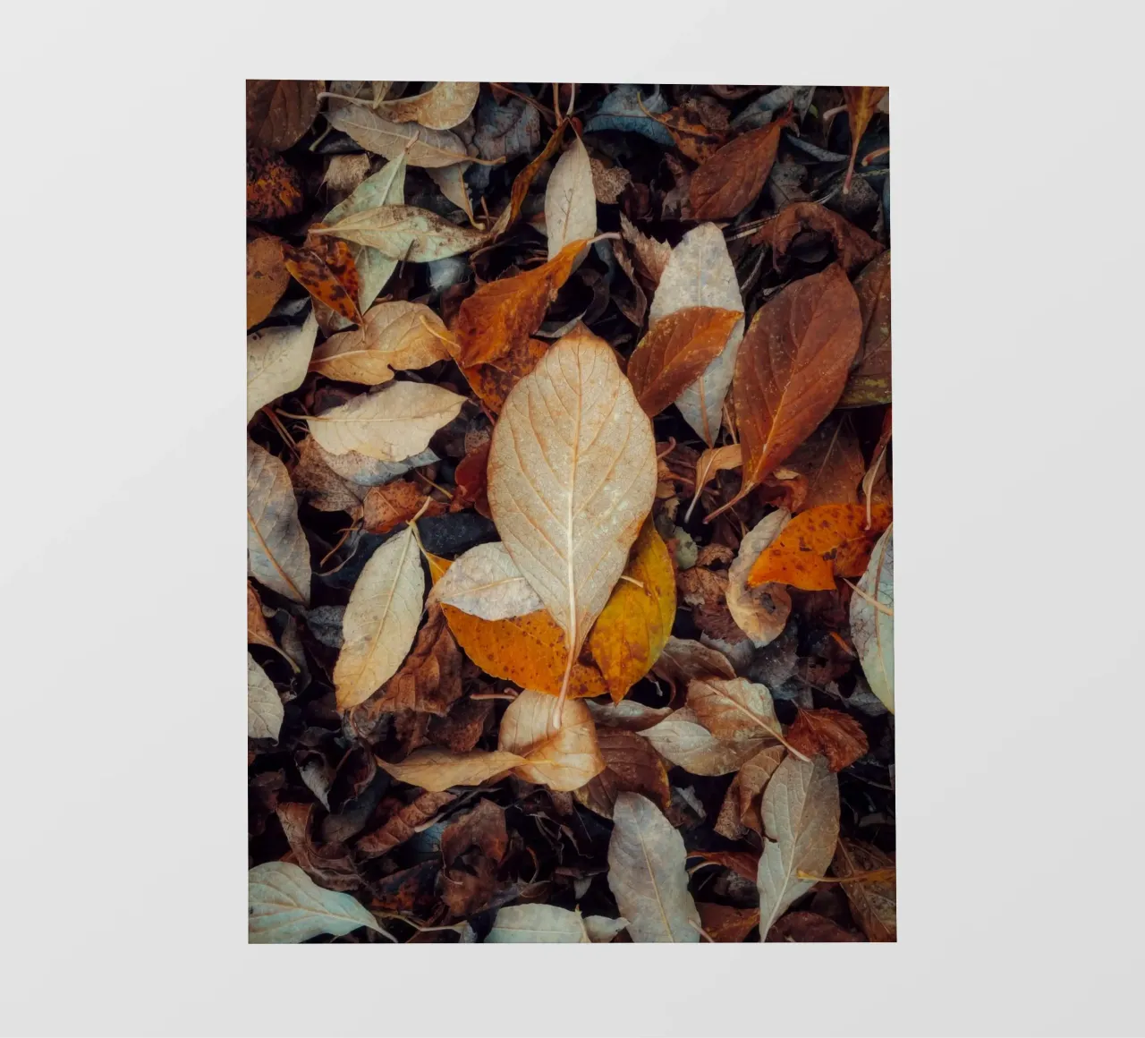 een rood blad fotobehang van Earthly Visions