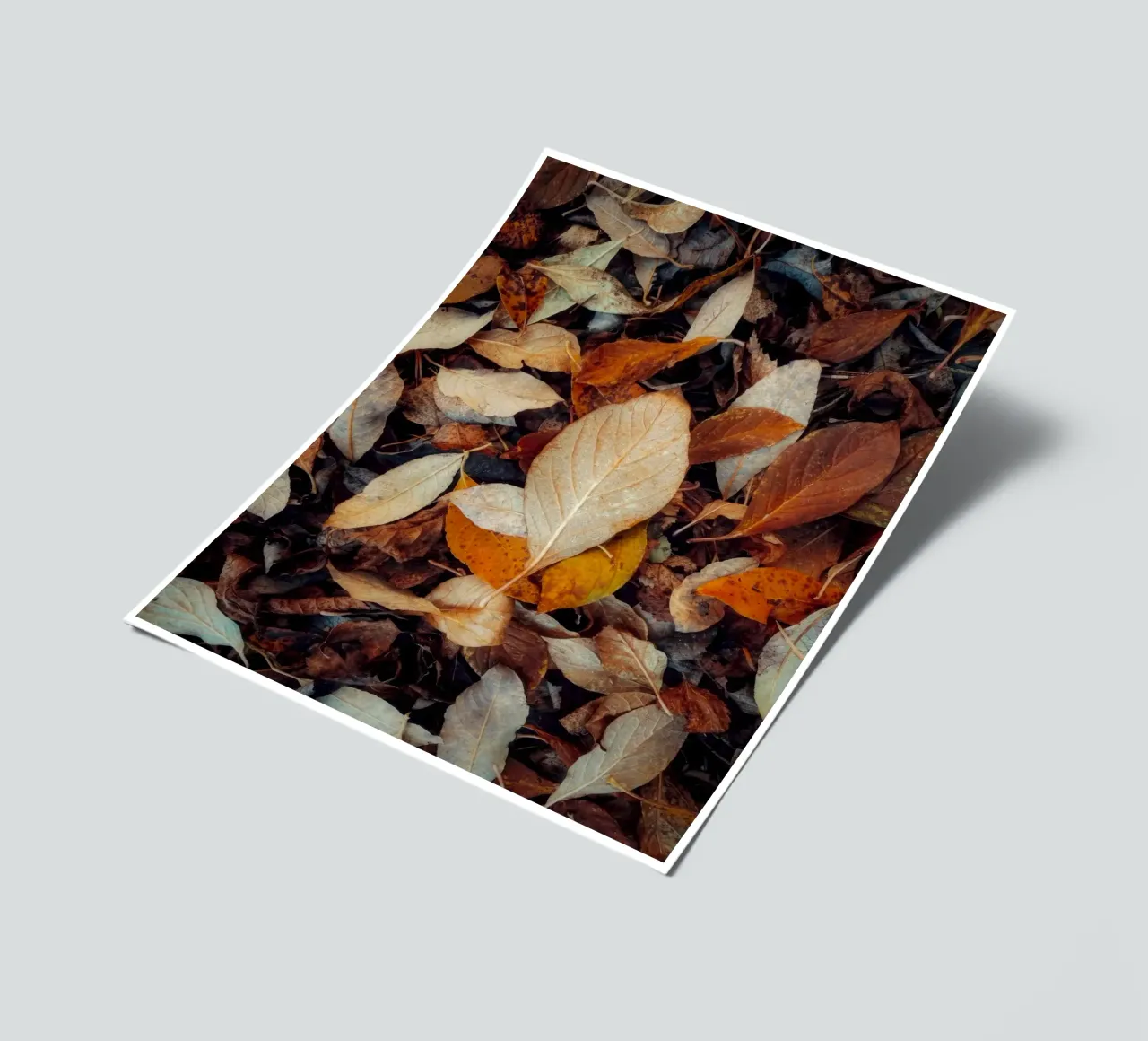 a red leaf sticker sheet by Earthly Visions
