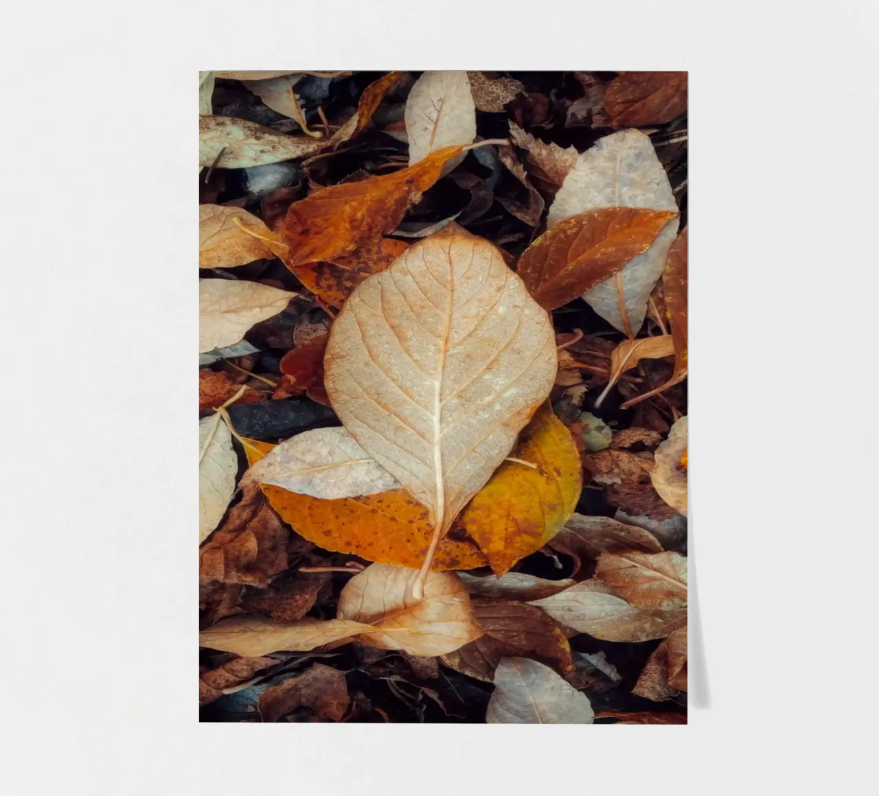 a red leaf sticker sheet by Earthly Visions