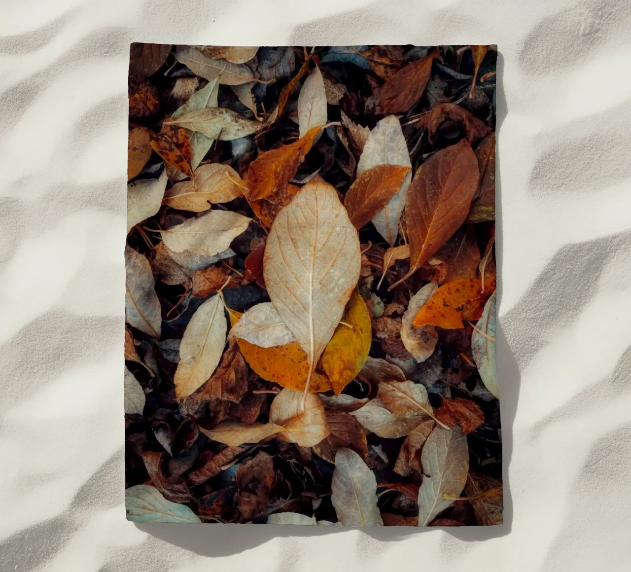 una foglia rossa telo mare da Earthly Visions