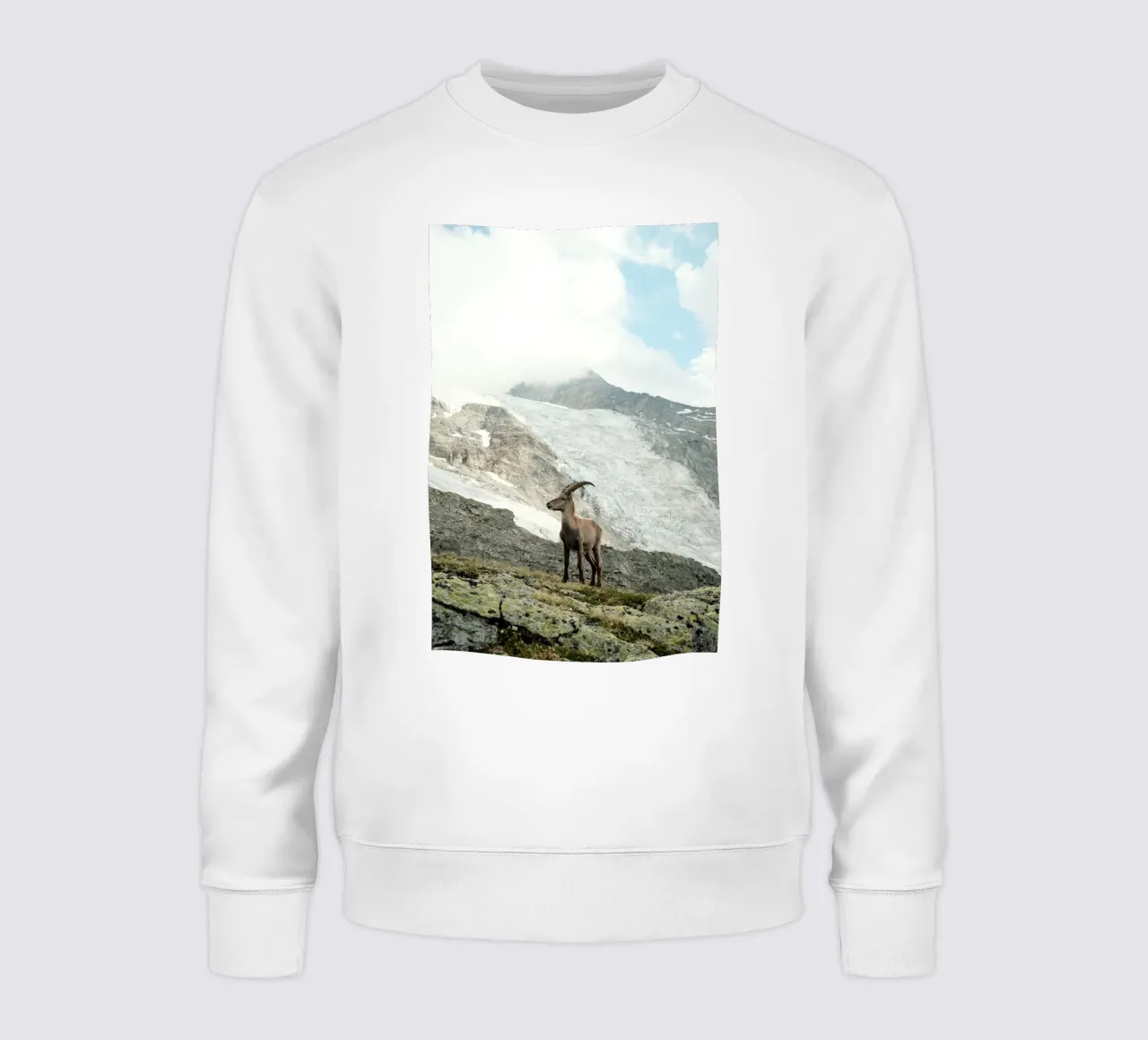 Ibex of Wallis felpa da FujiSwiss