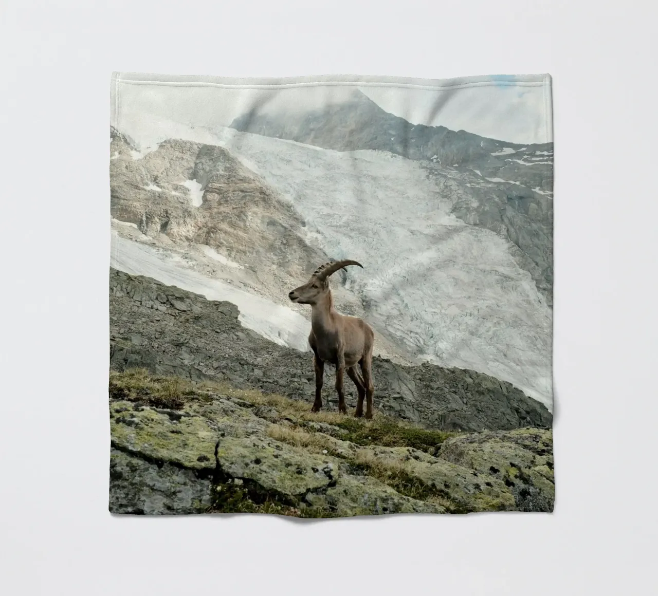 Ibex of Wallis coperta in pile da FujiSwiss