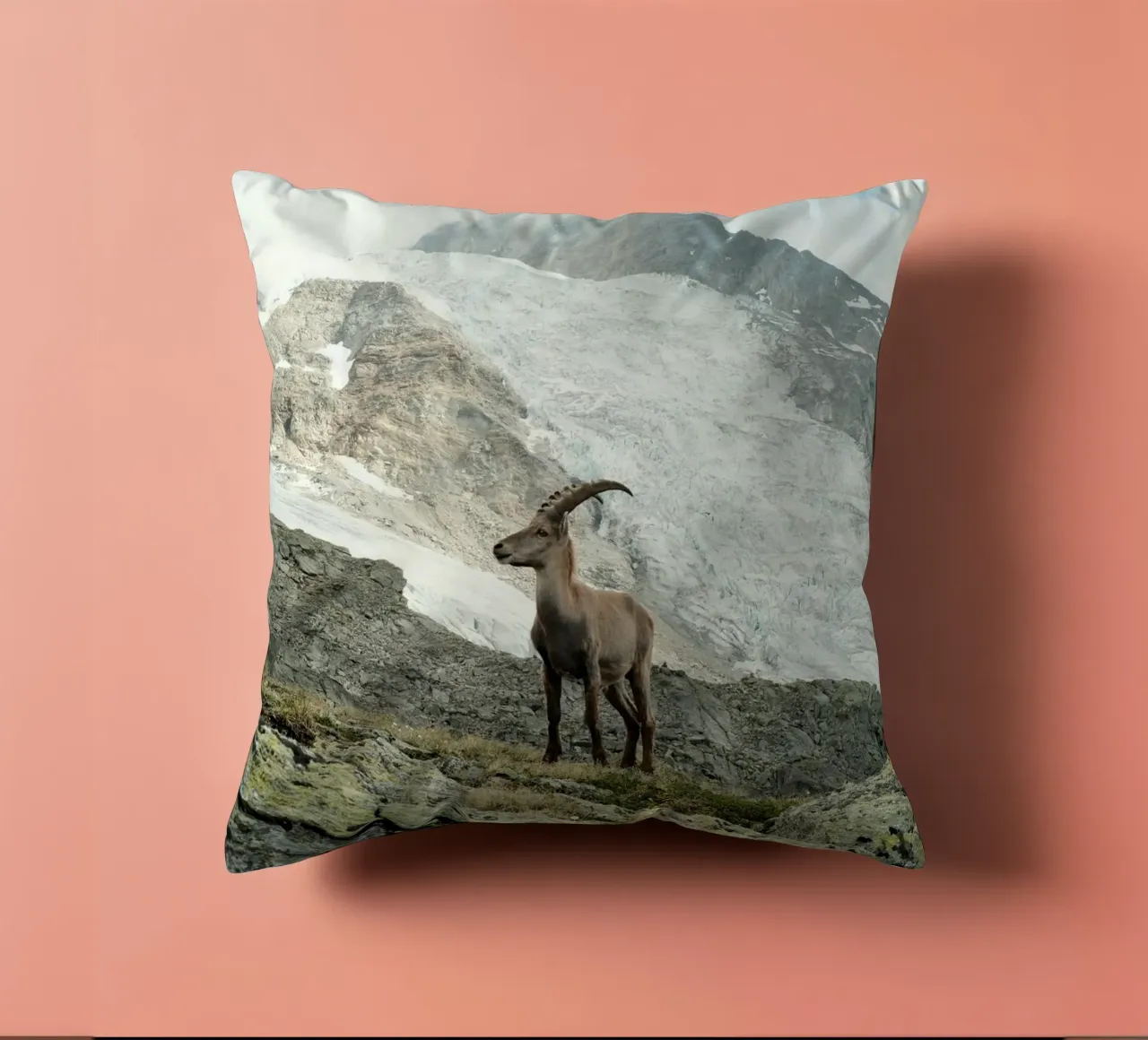 Ibex of Wallis cuscino da FujiSwiss