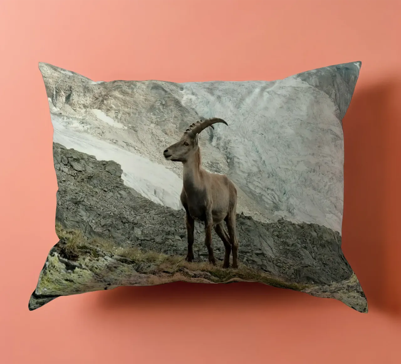 Ibex of Wallis cuscino da FujiSwiss