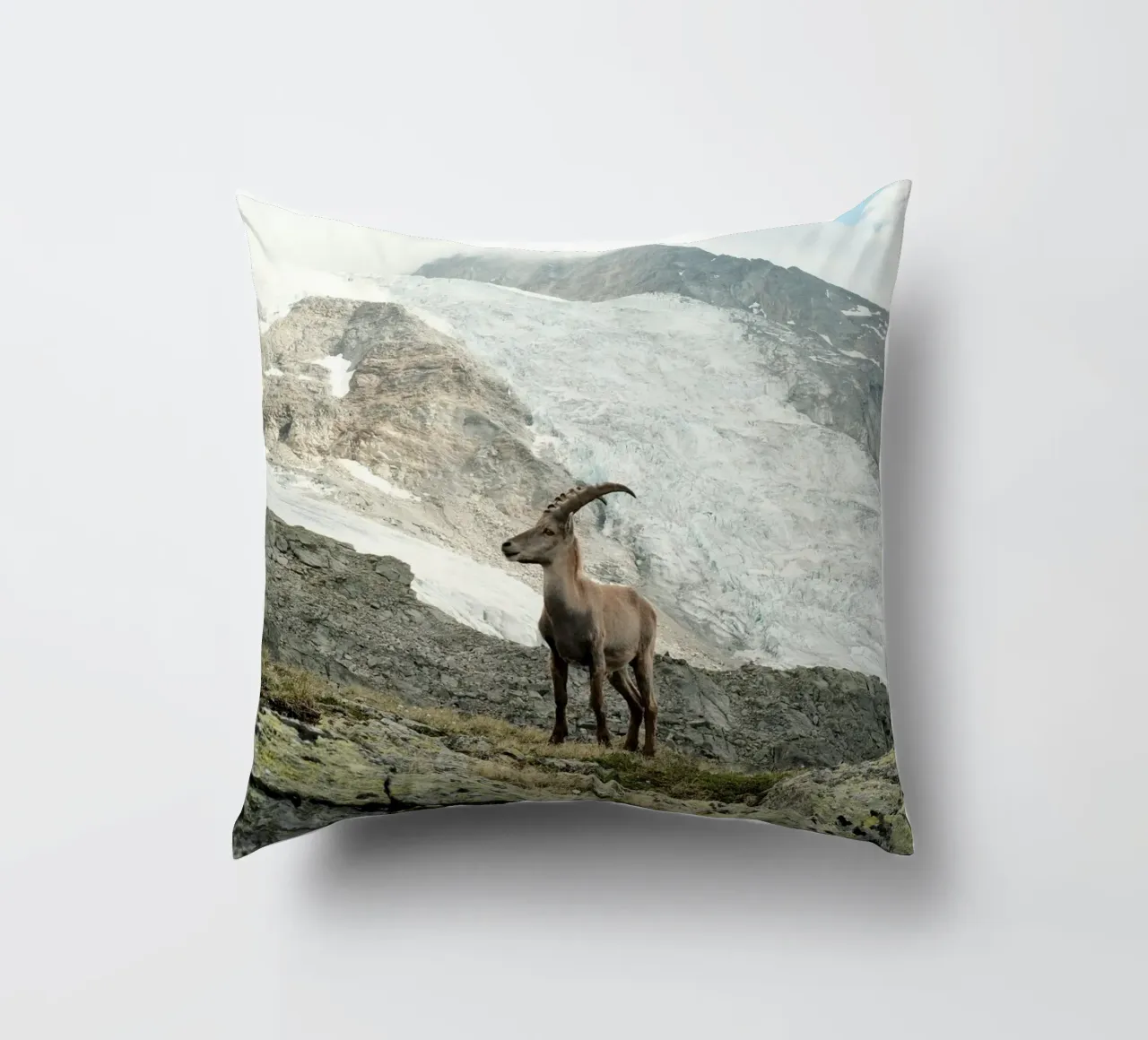 Ibex of Wallis cuscino da FujiSwiss