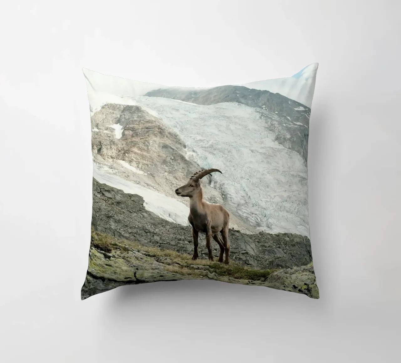 Ibex of Wallis cuscino da FujiSwiss