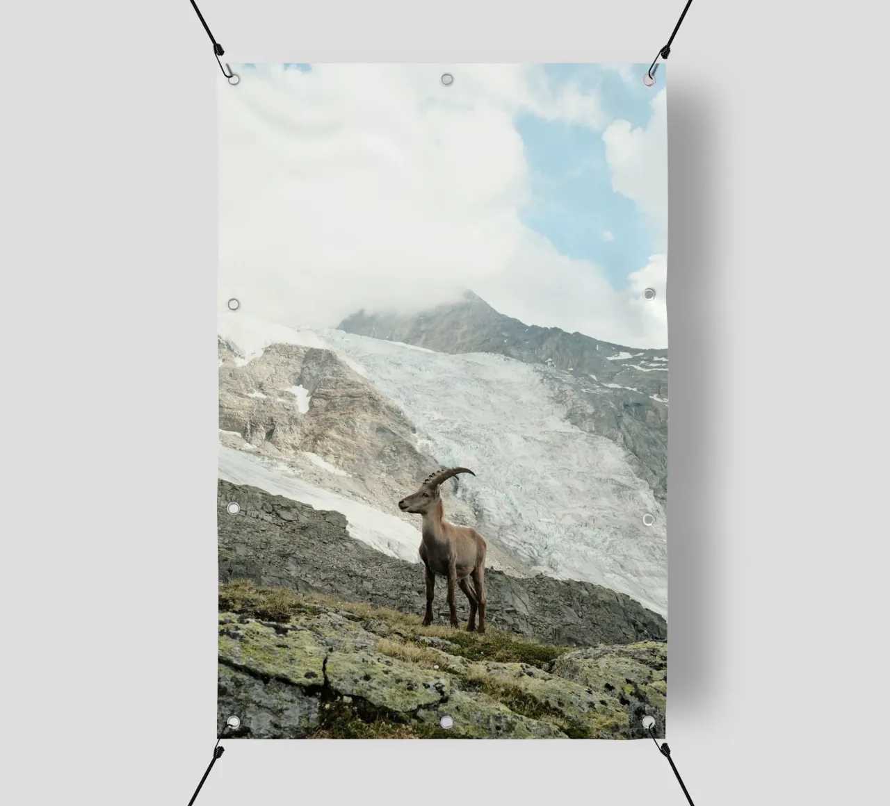 Ibex of Wallis telo in pvc da FujiSwiss