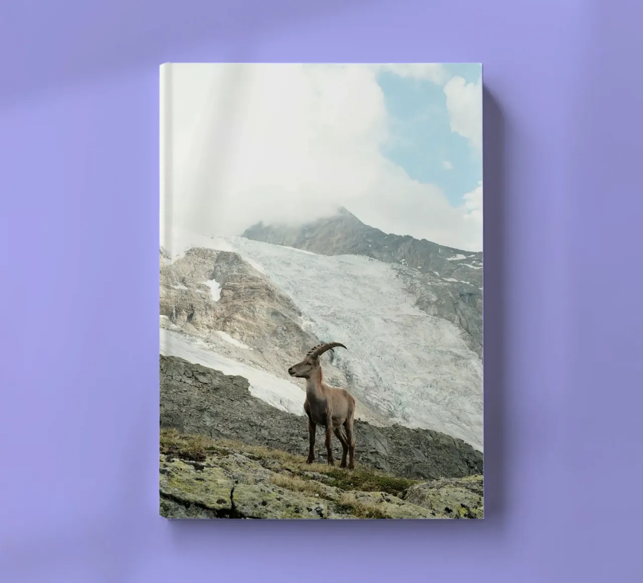 Ibex of Wallis notebook by FujiSwiss