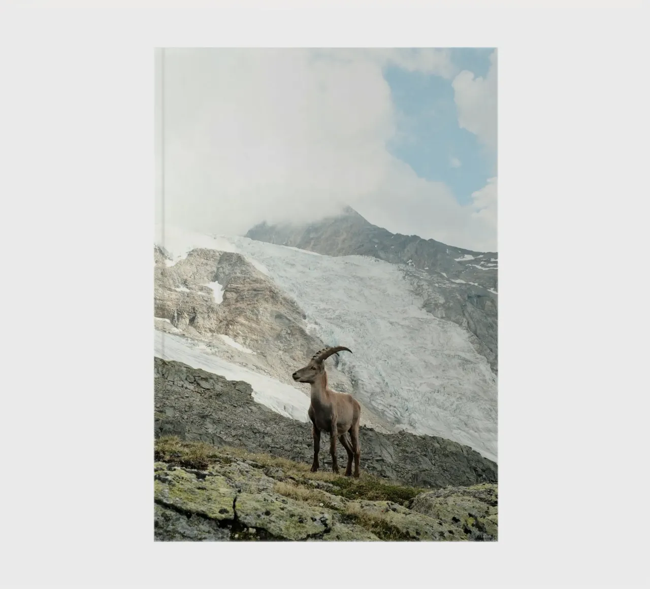 Ibex of Wallis notebook by FujiSwiss