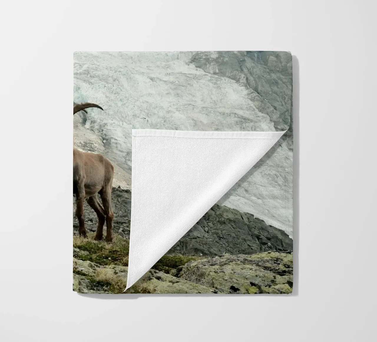 Ibex of Wallis telo mare da FujiSwiss