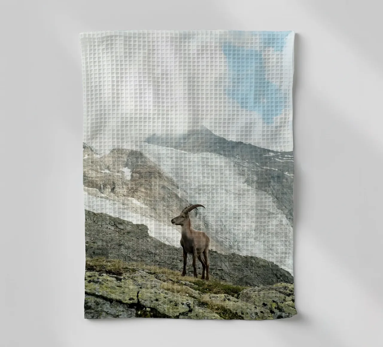 Ibex of Wallis canovaccio da cucina da FujiSwiss