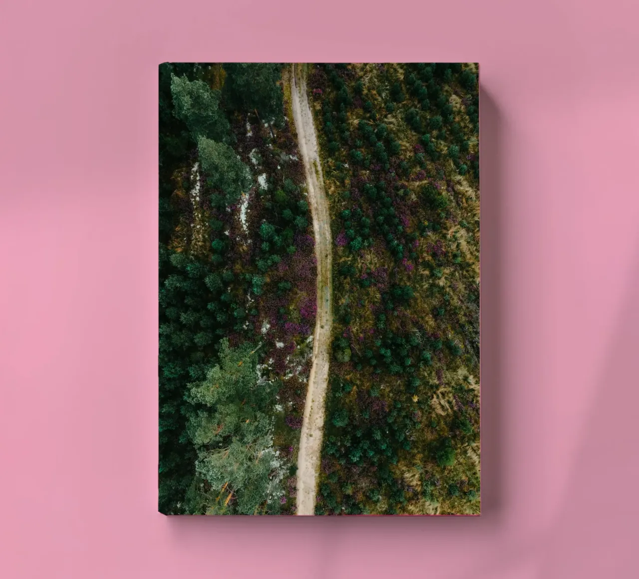 path in the forest notebook by Earthly Visions