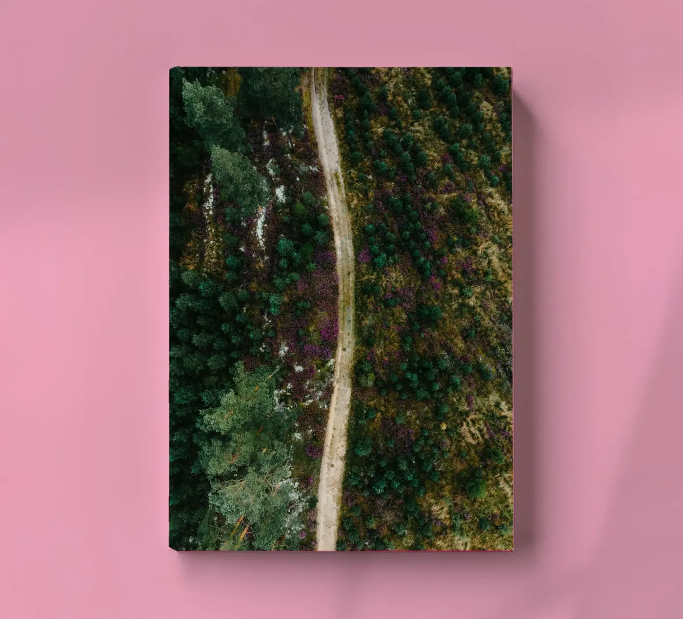 path in the forest Notizbuch von Earthly Visions